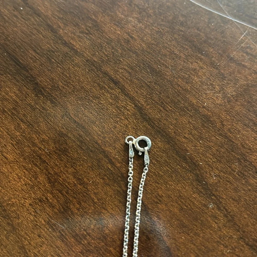 Horse shoe necklace - Picture 2 of 4